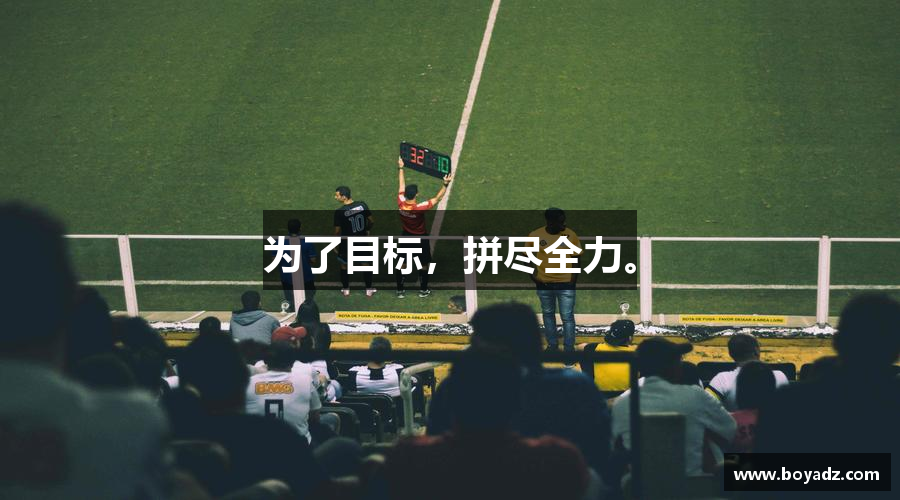 为了目标，拼尽全力。